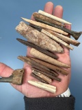 Lot of 18 Various Bone Tools, Awls, Punches, Flakers, Pendant, Found in Florida, Longest is 3 5/8