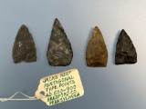 Lot of 4 NICE Jacks Reef Pentagonal Points, Found in Bradford Co., PA, Longest is 1 1/2