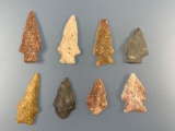 Lot of 8 Colorful Arrowheads, Quartzite, Chert, Longest is 1 1/2