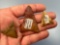 x3 Fine Triangle Levanna Points, Longest is Heat-Treated and Measures 2 1/16