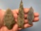 x3 Fine Points, Spears, Found on Duncan Island, Lancaster Co., PA, Ex: Phillip Butts Collection, Lon