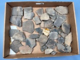 HUGE lot of Nice Iroquoian Style Pottery Rim Shards/Vessel Pieces, Found in PA, NY and NJ, Great Exa