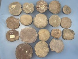 Cache of 18 Pot Lids found in Wapwallopen, PA, Great Assortment with Various Sizes, Largest is 5