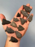 Lot of 12 Arrowheads, Chert, Found in Pennsylvania, Ex: Savidge, Sutton Collection, Longest is 1 15/