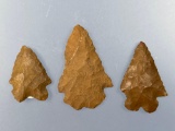 x3 Fine Serrated Bifurcate Points, Jasper, Found in Dauphin, Columbia and Berks Co., PA, Longest is