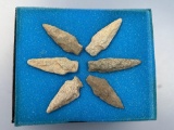 Lot of 6 Classic Bare Island Points, Found along the Suqeuanna River in PA, Longest is 2 3/8