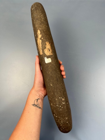 XL Perfect 17" Roller Pestle, Found in NY Along Upper Susquehanna River, Ex: George Rogers Collectio