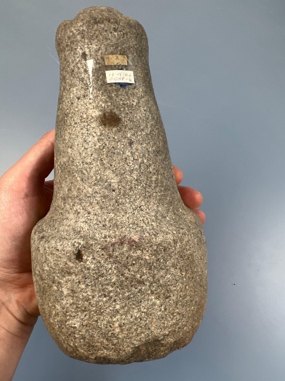 HIGHLIGHT Rare Maul/Pestle, Nipple/Knobbed Top, Found on Miss Spalding's Ranch, NW Coast, Ex: Bob Sh