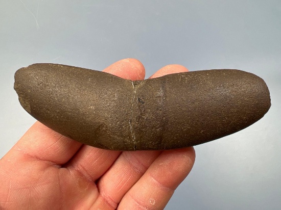 BEAUTIFUL 4 1/2" Wingnut Bannerstone, Broken+Reglued, Found Blackwater Creek, Cumberland Co., NJ, Ex