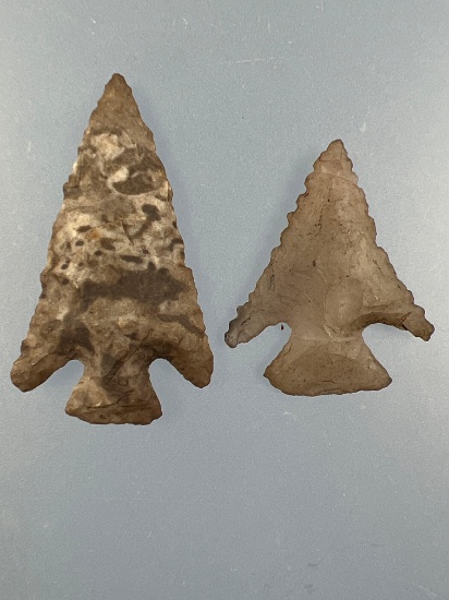 Pair of Rare Corner Notch Bird Points, Found in Clay Co., Arkansas by Rodney Ring, Ex: Podpora Colle