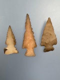 NICE Lot of x3 Fine Bird Points, Longest 1 7/16