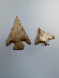 Pair of Stunning and Serrated Bird Points, Longest is 1 1/16