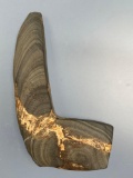 HIGHLIGHT Geniculate Bannerstone, Banded Slate, Found in Ohio, Ex: Simper, PICTURED Whos Who #5 pg.