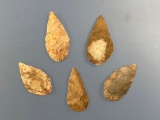 Lot of 5 Cobble Jasper Tear Drop Bladelets, Found in Pennsylvania (Likely Eastern PA), Longest is 1