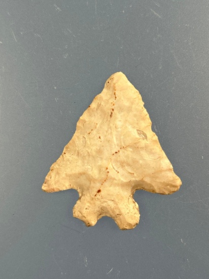 RARE 1 7/16" Fox Valley Bifurcate, Found in Kentucky, Great Condition, Ex: Walt Podpora Collection