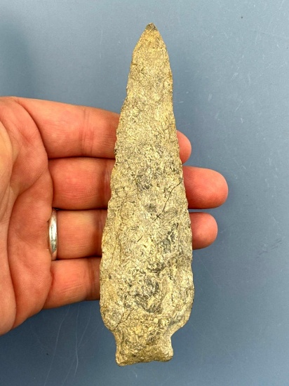 HUGE 5 1/2" Rhyolite Northern Piedmont Variety Spear Point, Found in Berks Co., PA, Classic Example,
