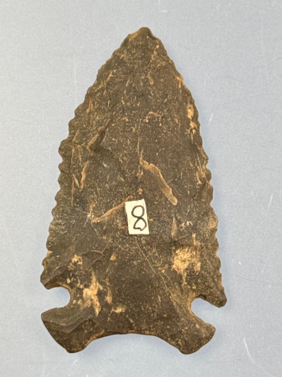 HIGHLIGHT 2 1/8" Cows Head Paleo Hardway Point, Found in North Carolina, Ex: Dudkewitz, Cicero Colle