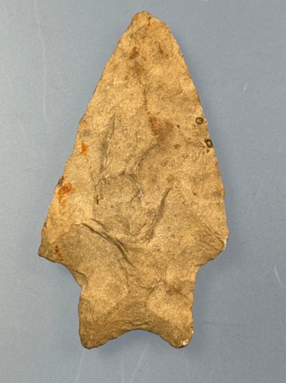 2 1/2" Rhyoilte Staney Point, Found in North Caolina, Heafty Example