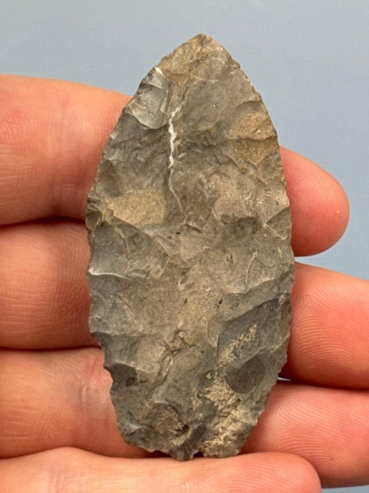 2 1/2" Lanceolate Point, Found in New York State, Ex: Dave Collins Collection