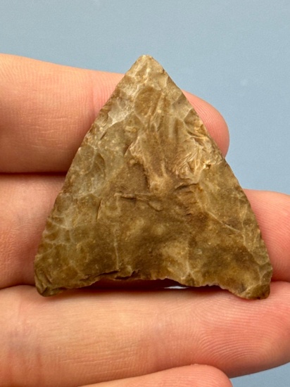 1 11/16" Levanna Triangle Point, Ex: Sonny Delong Collection Who Collected and Hunted Artifacts alon
