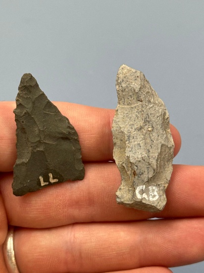 Pair of Ex: Doc Bowser Arrowheads, Triangle and Rhyolite Point (Long Level, Goldsboro), Longest is 1
