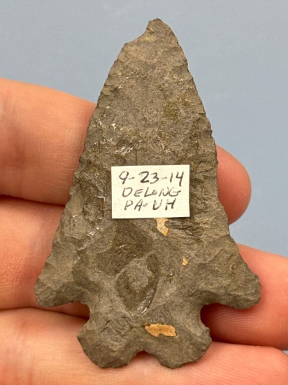 STUNNING 2 3/8" Chert Bifurcate Point, Ex: Sonny Delong Collection Who Collected and Hunted Artifact