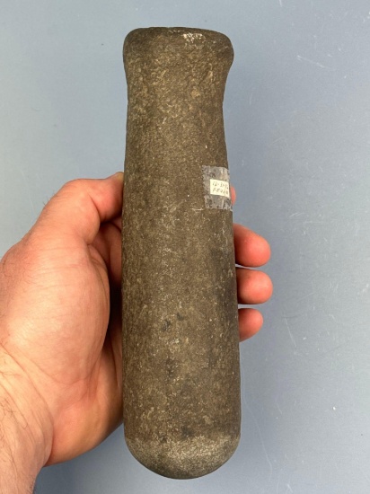 NICE 8" Knobbed Pestle, Northwest Coast Region, Fantastic Condition Overall! Possibly Late Use on Bo