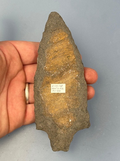 SUPERB 5 3/8" Appalachian Point, Archaic Stem, Found in Kent Co., Maryland, Nice Sized Point!