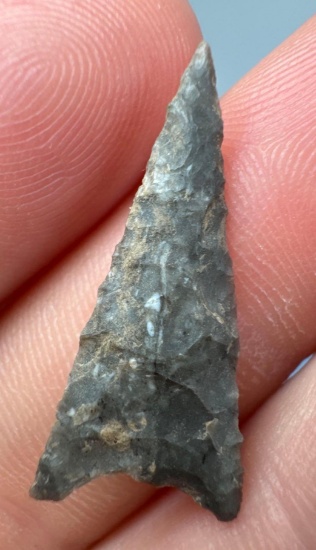 IMPRESSIVE 1" Iroquoian Triangle Point, Found on the West Shore of Chautauqua Lake, New York