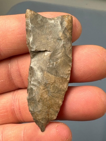 2 1/4" Fluted Onondaga Chert Paleo Clovis, Found in Northumberland Co., PA, PICTURED in PA Fluted Po