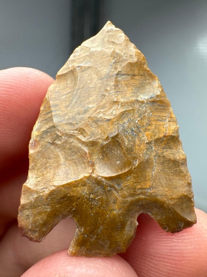 FINE 1 3/8" Gem Quality Basal Notch Point, Jasper, Found in New Jersey