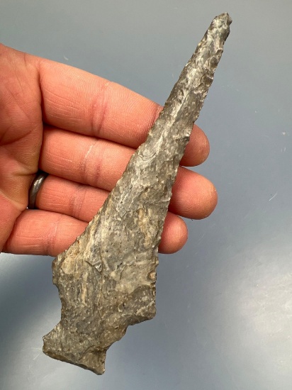 NICE 5 1/2" Coshocton Chert Ashtabula Point, Found in Ohio, IMPRESSIVE Example, Heavily Resharpened