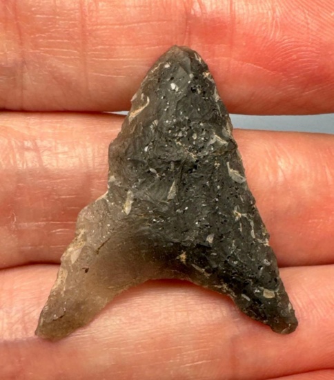 WOW 1 1/4" 2-Tone Leganna Triangle, Chalcedony, Found in PA/NJ/NY Tristate Area, Ex: Harry Mucklin,