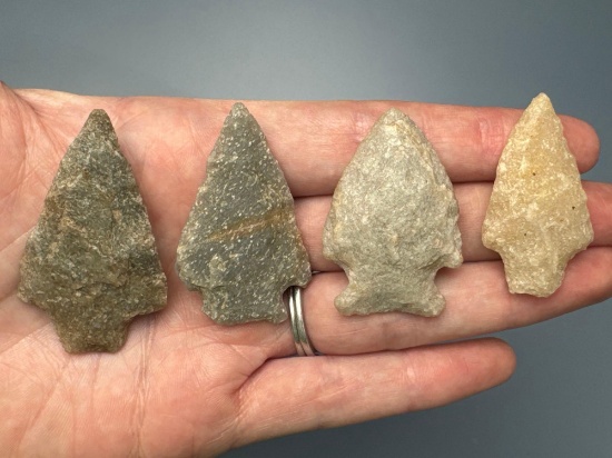 Lot of 4 Quartzite Points, Fine Examples, Longest is 1 15/16", Found in Northampton Co., PA Ex: Burl