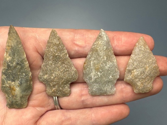 Lot of 4 Quartzite Arrowheads, Longest is 2", Found in Northampton Co., PA, Ex: Burley Museum Collec