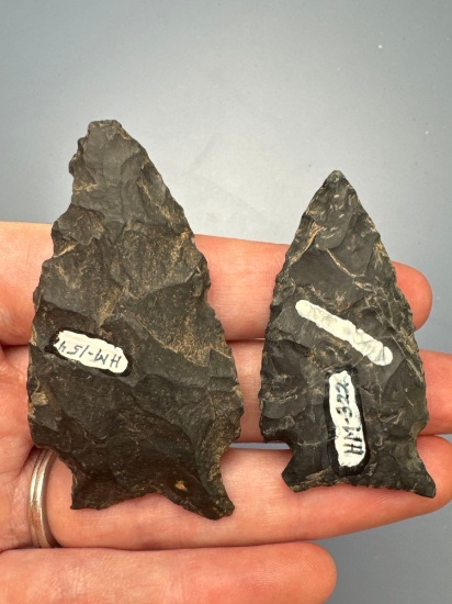 Pair of Fine Vosburg Points, Corner Notch, Longest is 2 1/4", Found in PA/NJ/NY Tristate Area, Ex: H