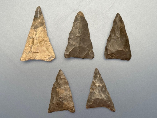 5 Fine Triangle Points, Found in New York, Nice Examples, Longest is 1 1/2"
