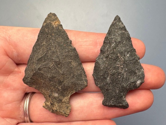 Pair of Black Chert Perkiomen Points, Longest is 2 1/8", Found in Jim Thorpe Area in Pennsylvania
