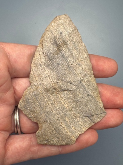THIN 3 1/16" Perkiomen, Rhyolite, Broken in Half and Re-Glued, Found in Jim Thorpe Area in Pennsylva