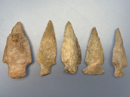Lot of 5 Nice Stemmed And Side Notch Points, Longest is 2 3/8", Found in Jim Thorpe Area in Pennsylv