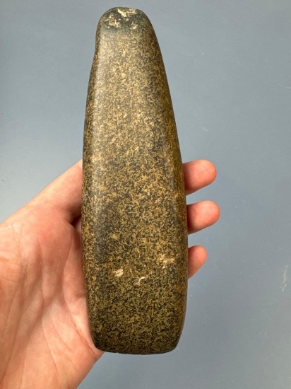 SUPERB 6 3/8" Polished Hardstone Gouge, Found in Snyder Co., PA, Ex: Enck Collection Purchased on 6/