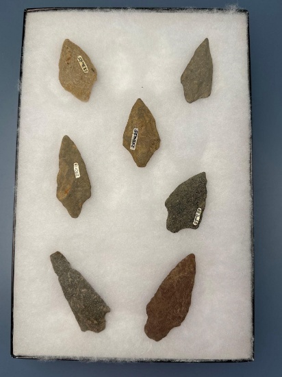 7 Various ARgillite and Quartzite Points, Archaic Stemmed, Found in New Jersey, Ex: Kauffman Collect