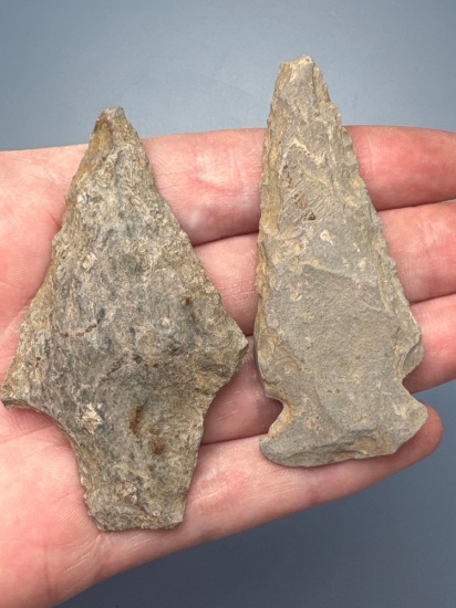 Pair of Rhyolite Points, Stemmed and Side Notch, Longest is 2 3/4", Found in the Oley Valley, Berks