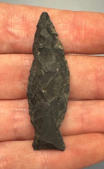 1 7/8" Orient Fishtail, Black Chert, Found in Seneca Co, NY