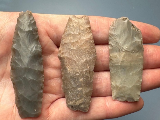 Bell County, Texas Points, Paleo, Damage is Noted, Longest is 2 1/2"