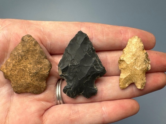 Lot of 3 Fine Bifurcate Points, Longest is 1 1/2", Found in PA, Ex: Heacock Collection