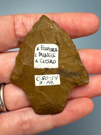 FINE 2 1/4" Jasper Lehigh Broadpoint, Ex: Podpora, Mingle, Cicero Collections, Fine Example, Found i