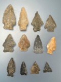 12 Various Quartzite, Chert, Chalcedony Arrowheads, Found in Northampton Co., PA, Longest is 1 7/8