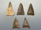 5 Fine Triangle Points, Found in New York, Nice Examples, Longest is 1 1/2