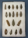 17 Various Agrillite Points, Found in New Jersey, Ex: Kauffman Collection
